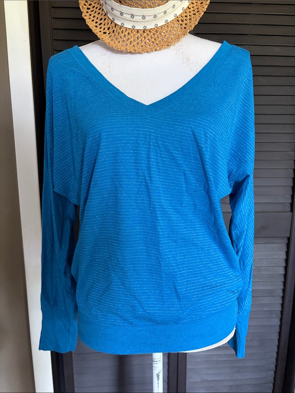 American Eagle Outfitters Blue Long Sleeve V-Neck Top